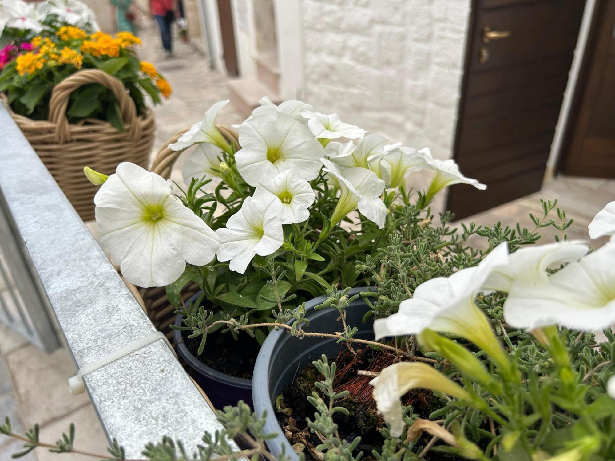 Trame Poesia Di Mare 2 Bed and Breakfast Polignano a Mare Buitenkant foto