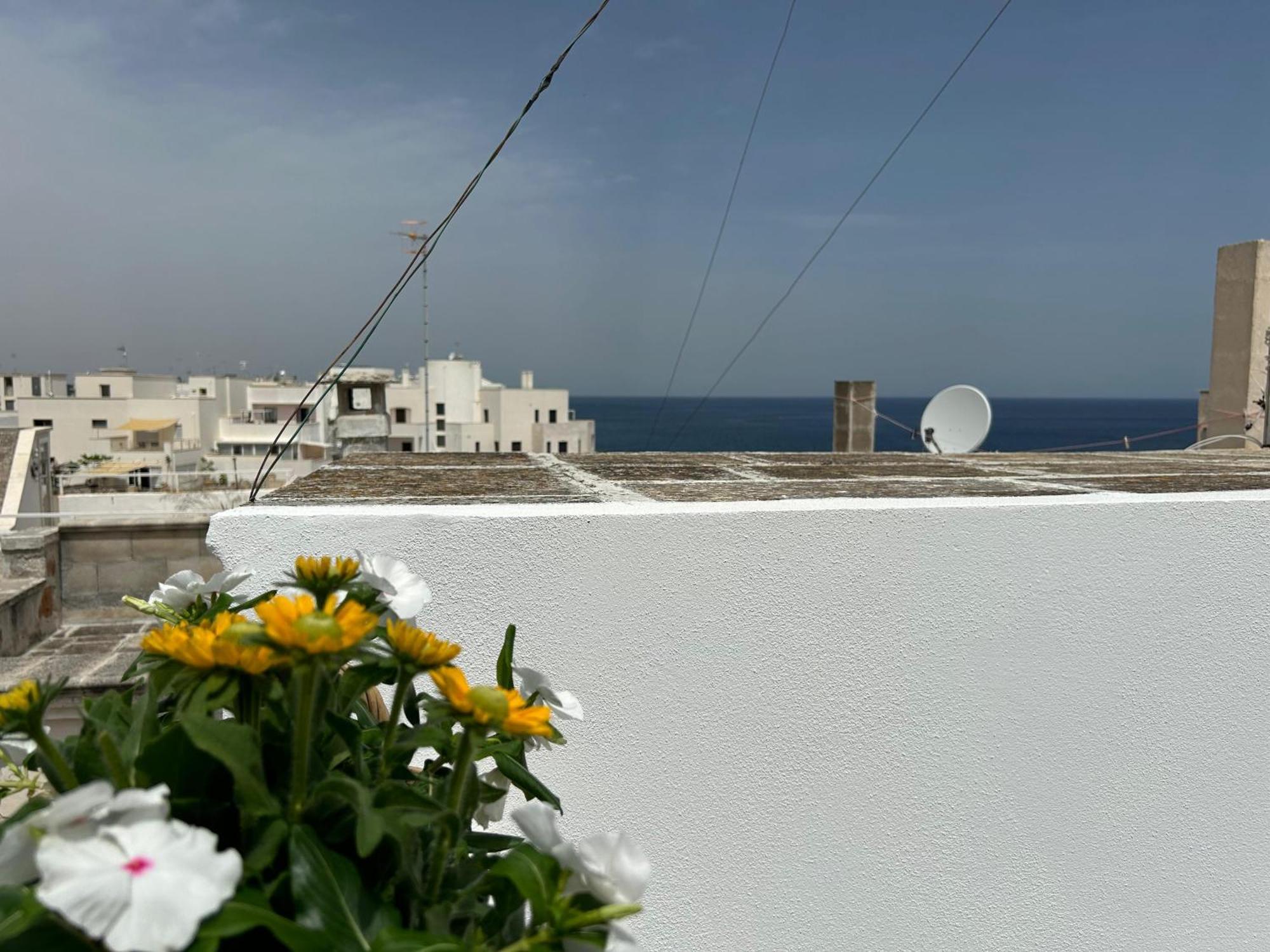 Trame Poesia Di Mare 2 Bed and Breakfast Polignano a Mare Buitenkant foto
