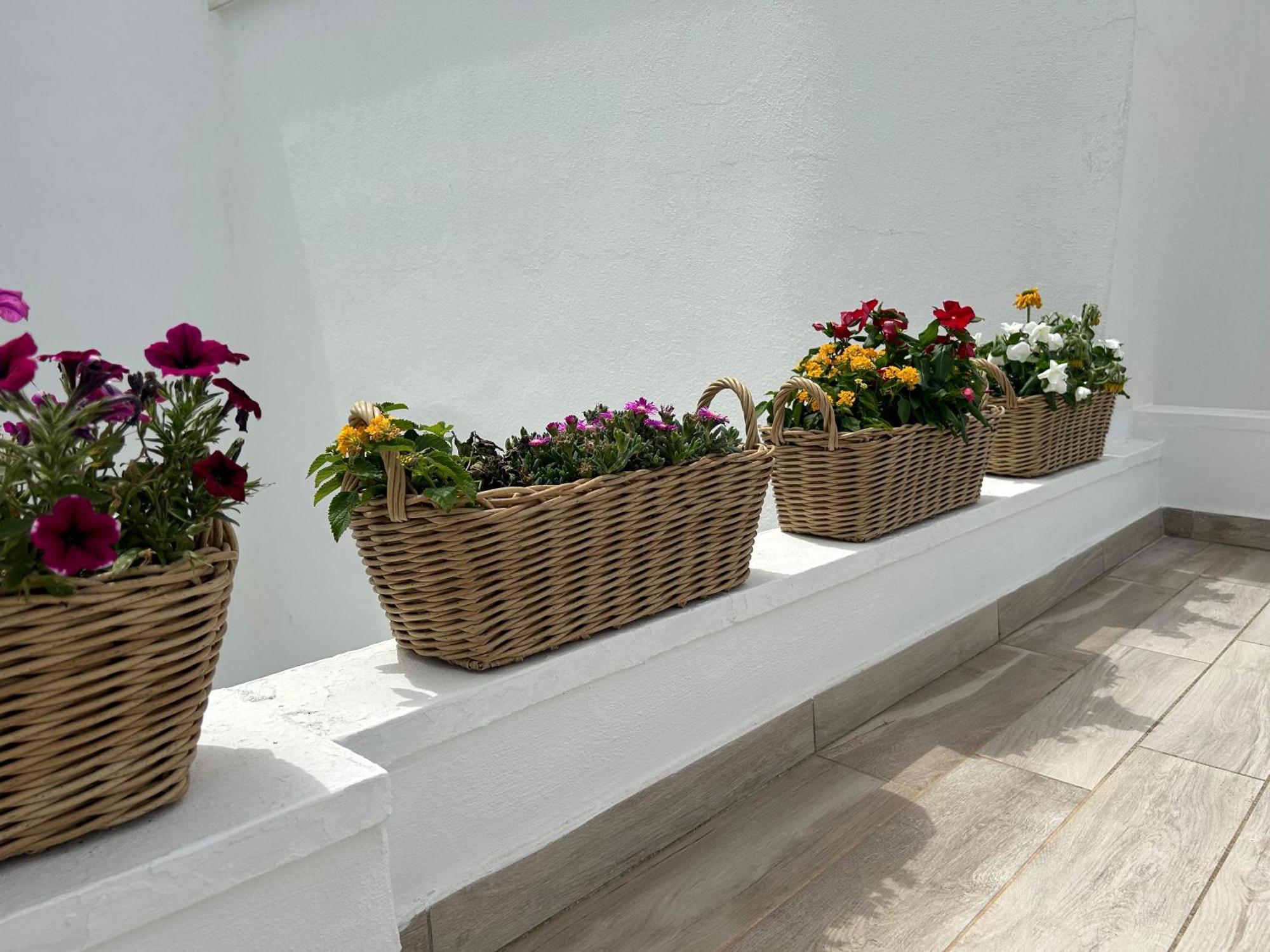 Trame Poesia Di Mare 2 Bed and Breakfast Polignano a Mare Buitenkant foto